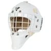 Victory V6 Senior Custom Goalie Mask